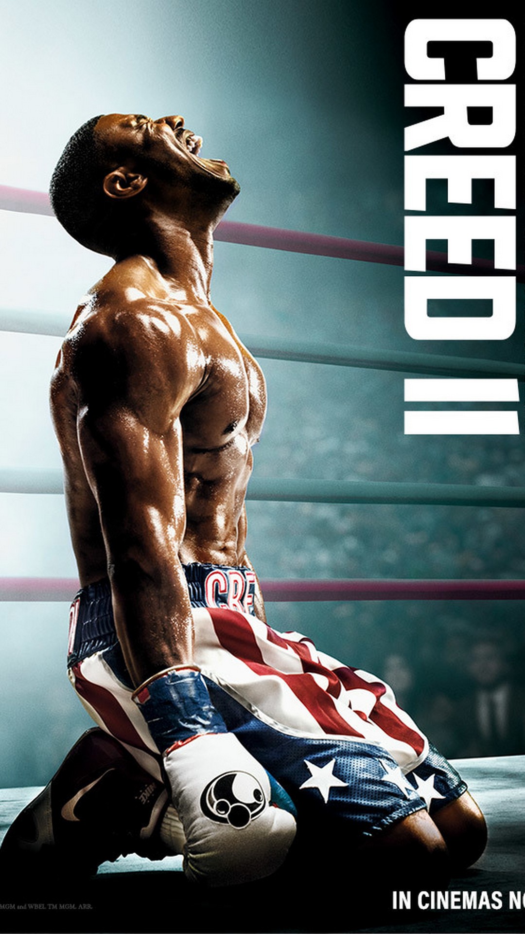 Creed 2 Movie Poster with resolution 1080x1920 pixel. You can make this wallpaper for your Mac or Windows Desktop Background, iPhone, Android or Tablet and another Smartphone device