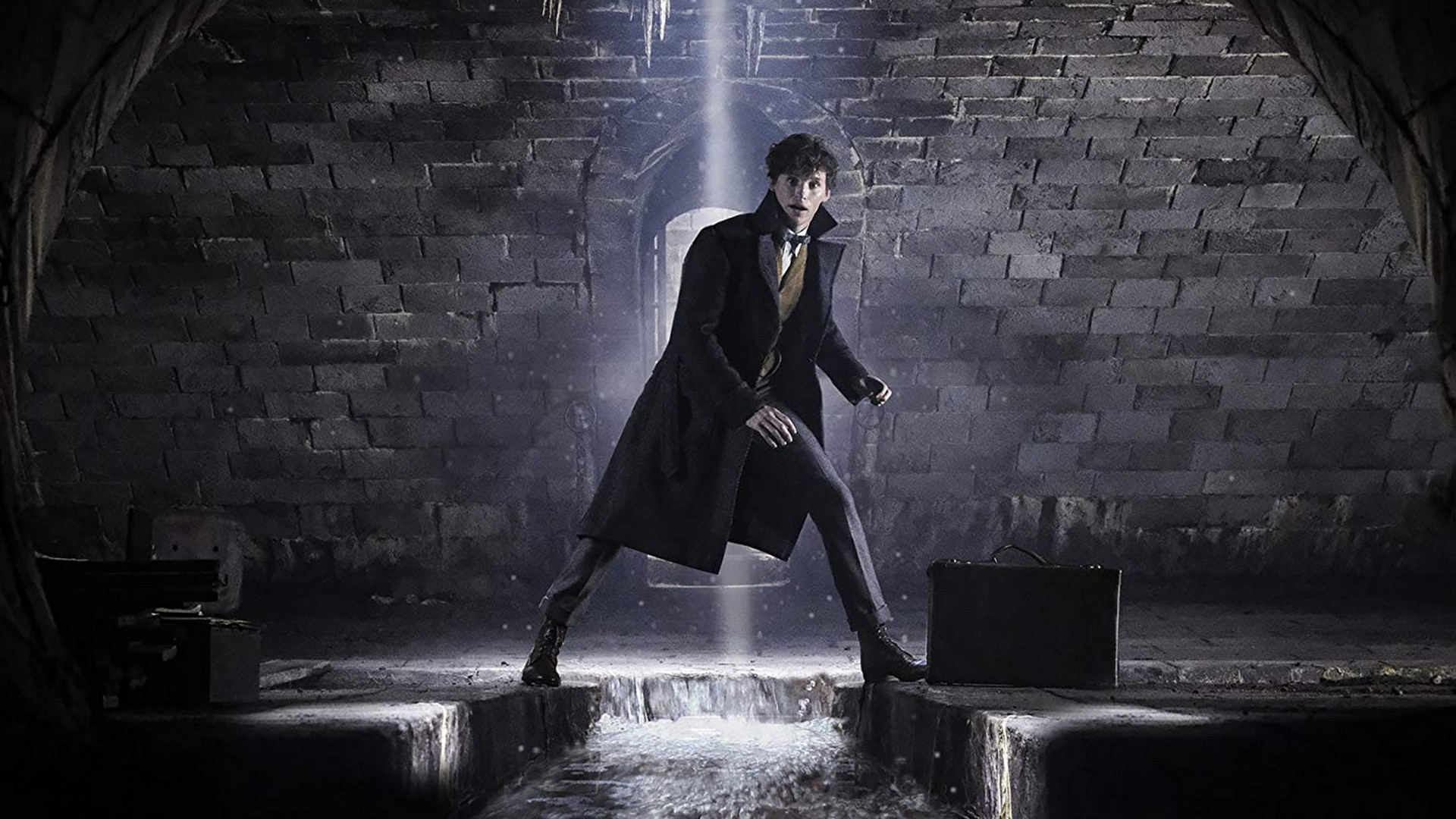 Fantastic Beasts The Crimes of Grindelwald 2018 Wallpaper HD with resolution 1920x1080 pixel. You can make this wallpaper for your Mac or Windows Desktop Background, iPhone, Android or Tablet and another Smartphone device