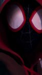 Spider-Man Into the Spider-Verse Poster Movie
