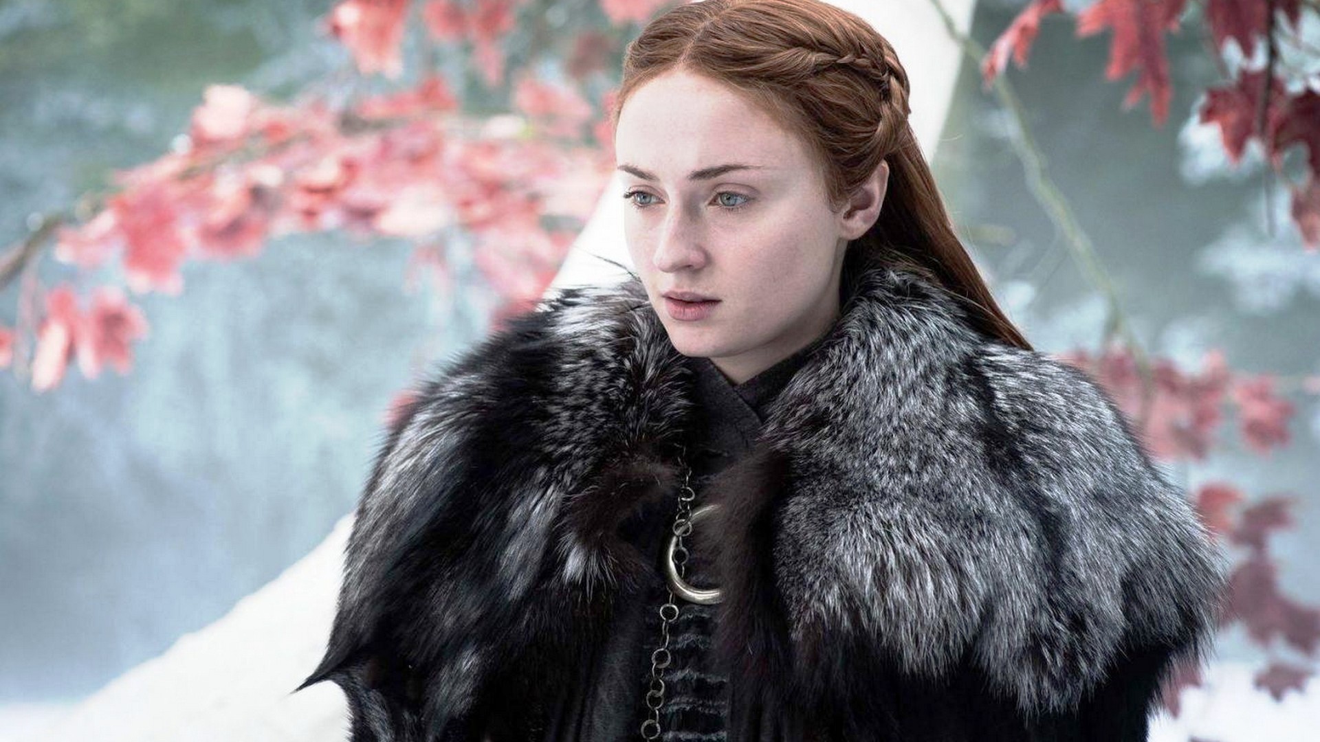Game of Thrones Cast Sophie Turner as Sansa Stark Wallpaper with high-resolution 1920x1080 pixel. You can use this poster wallpaper for your Desktop Computers, Mac Screensavers, Windows Backgrounds, iPhone Wallpapers, Tablet or Android Lock screen and another Mobile device