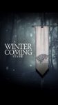 House Stark Game of Thrones Movie Poster