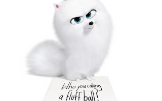 The Secret Life of Pets 2 Poster HD With high-resolution 1080X1920 pixel. You can use this poster wallpaper for your Desktop Computers, Mac Screensavers, Windows Backgrounds, iPhone Wallpapers, Tablet or Android Lock screen and another Mobile device