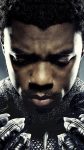 Black Panther Superhero Movie Poster